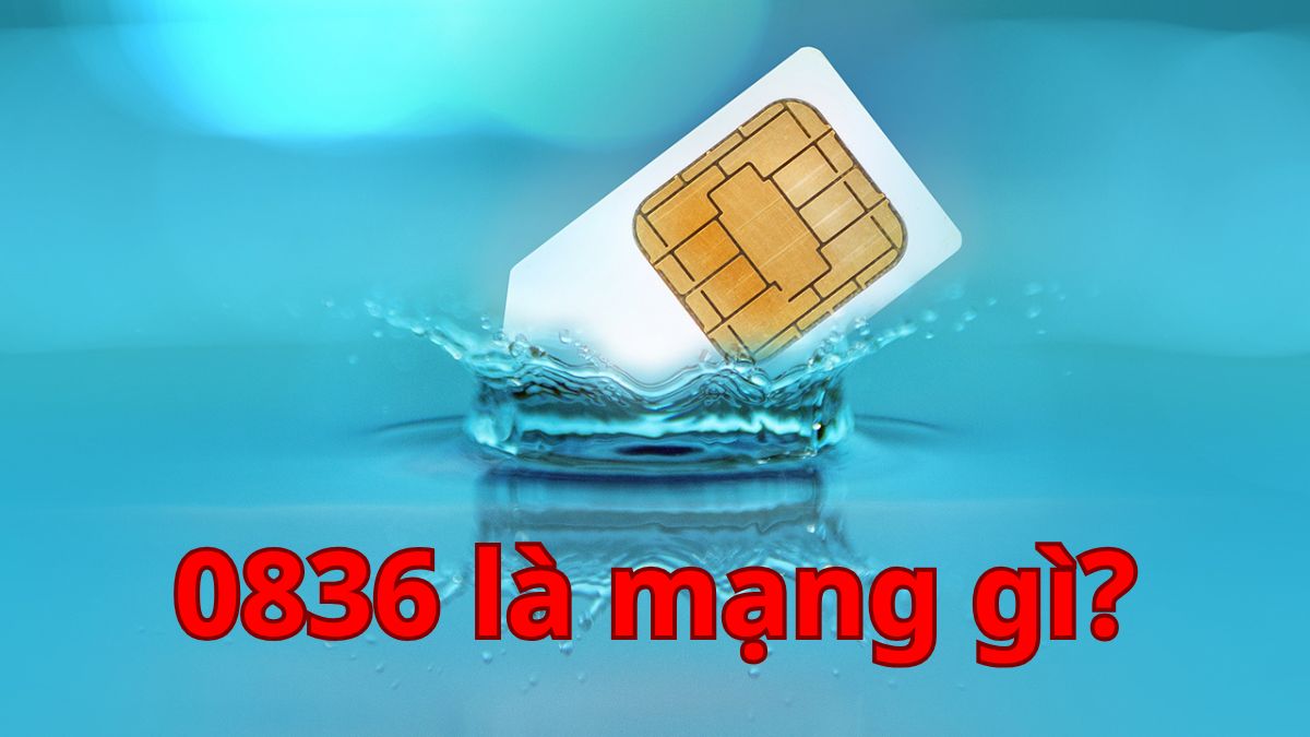 Đầu số 0836 là mạng gì? Nguồn gốc và ý nghĩa