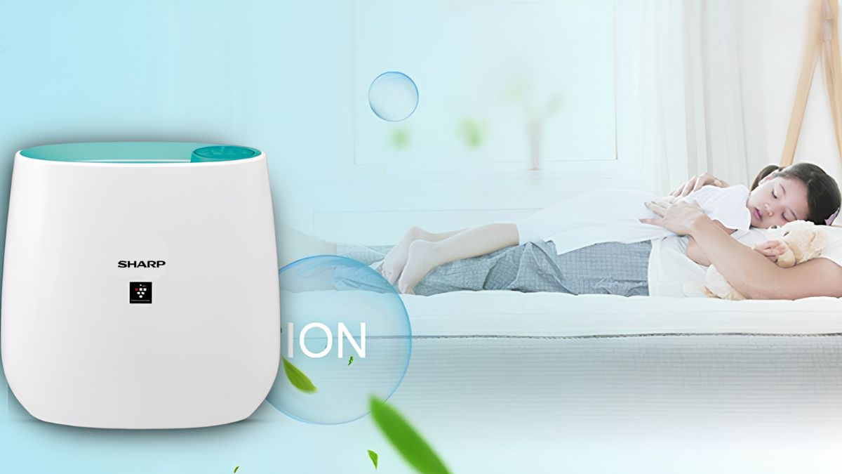 Máy lọc không khí Sharp FP-J30E-B