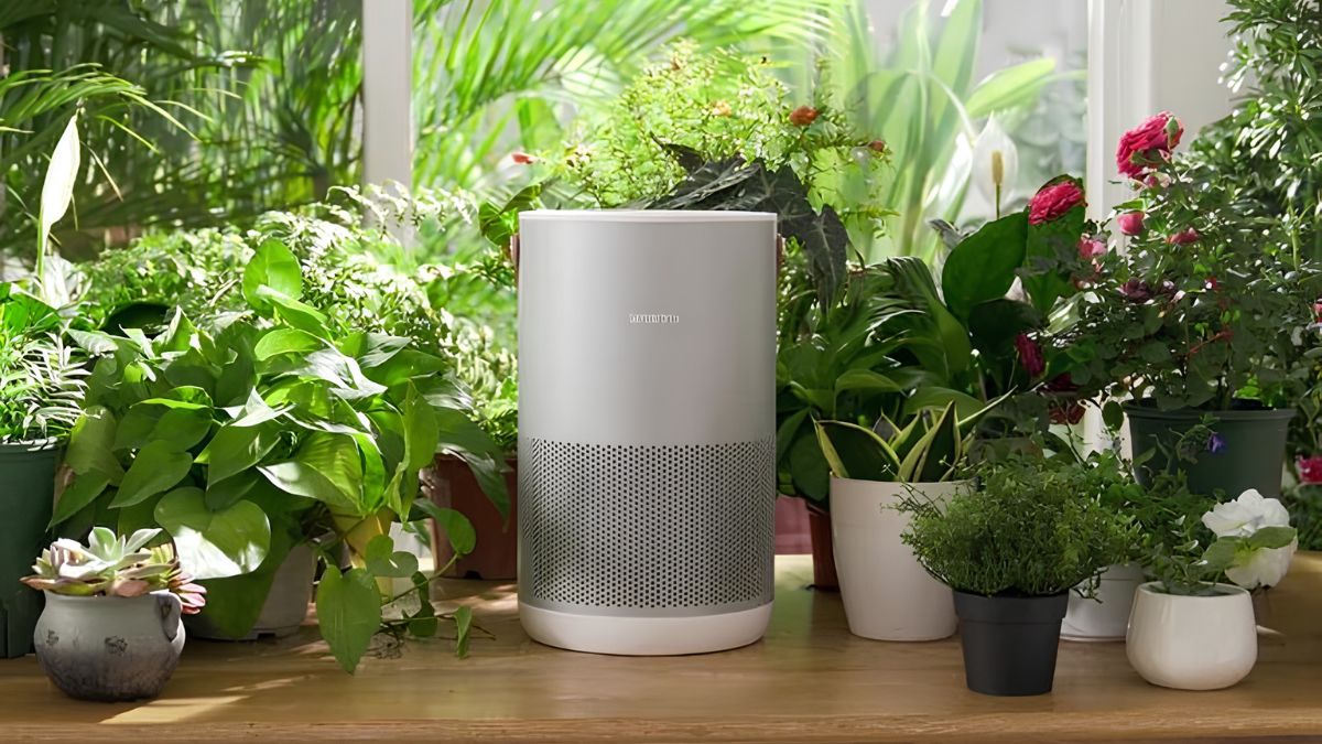 Máy lọc không khí Smartmi Air Purifier P1