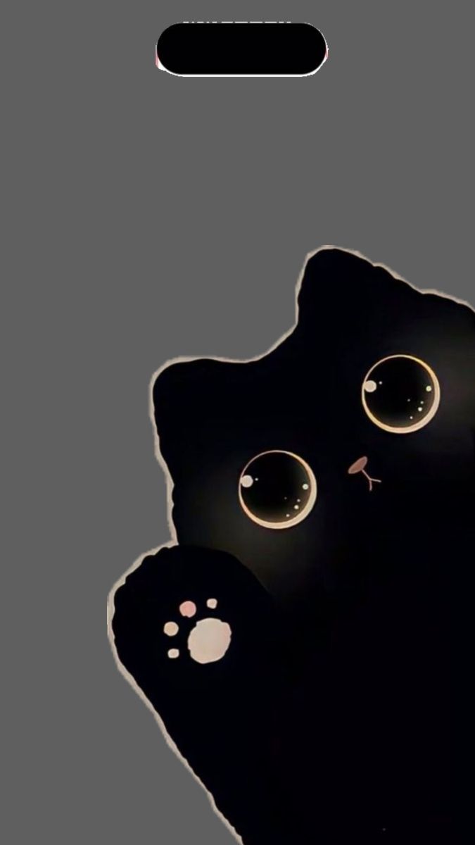 Hình nền động vật và thú cưng cute