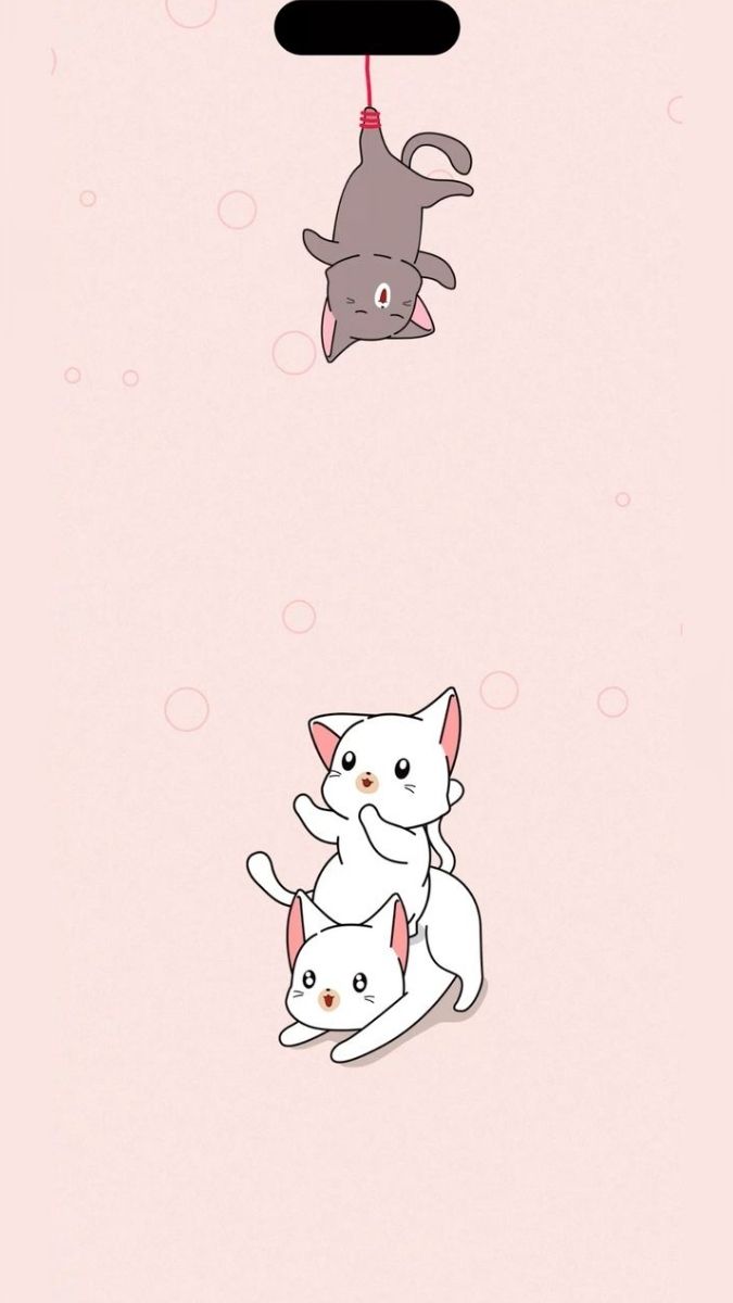 Hình nền động vật và thú cưng cute