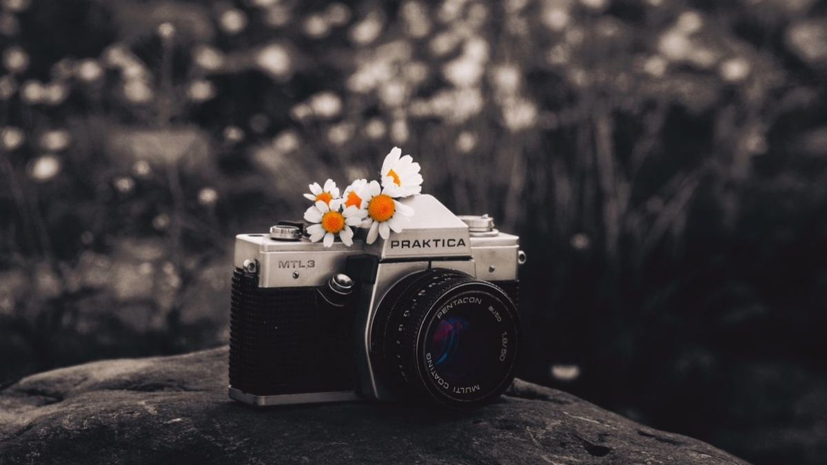 Hình nền máy ảnh aesthetic, chill tối giản - hình 3