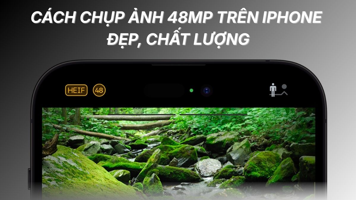 Cách chụp ảnh 48MP trên iPhone đẹp chuyên nghiệp, chất lượng