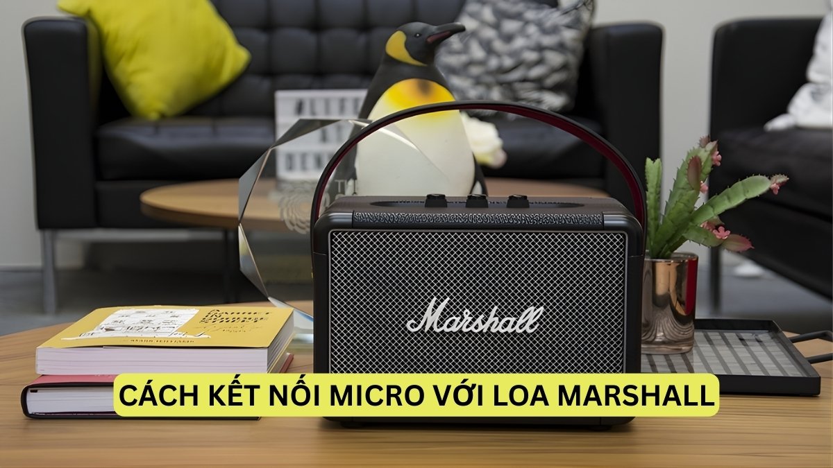 Cách kết nối micro với loa Marshall có dây, không dây đơn giản nhất