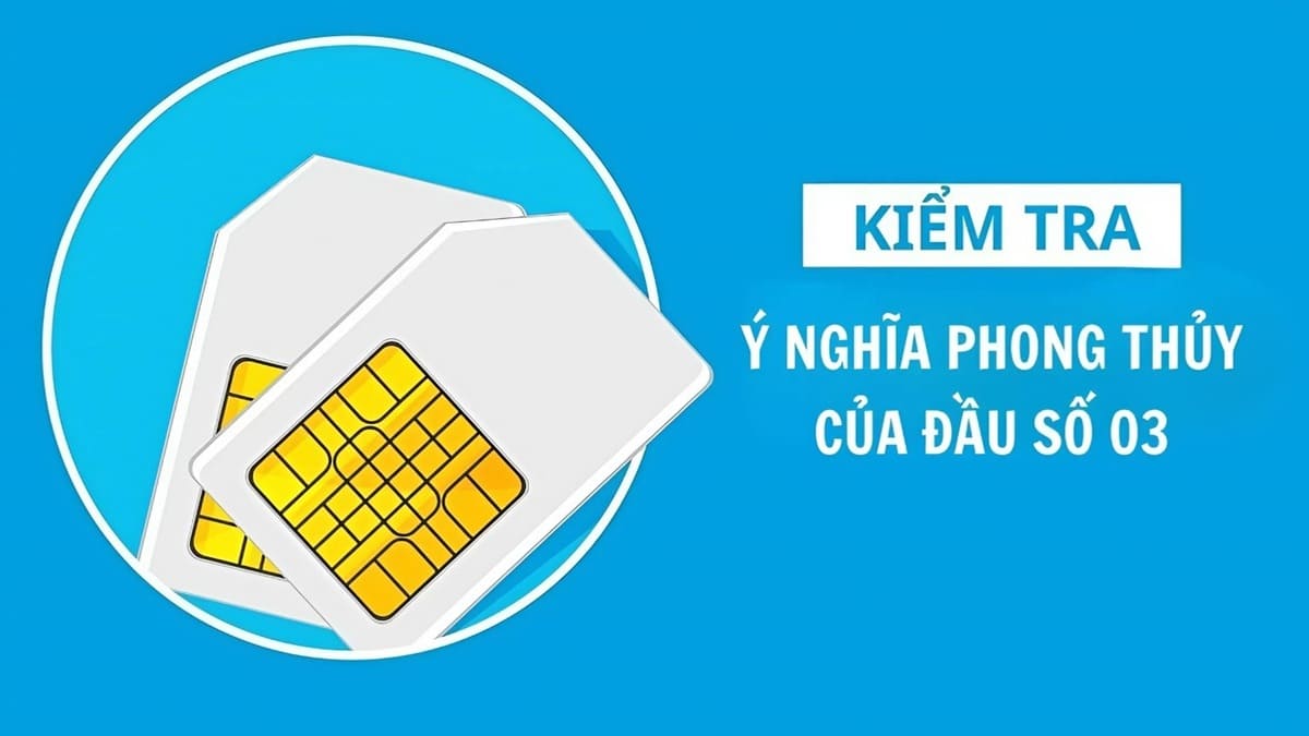 Ý nghĩa đầu số 03 theo phong thủy