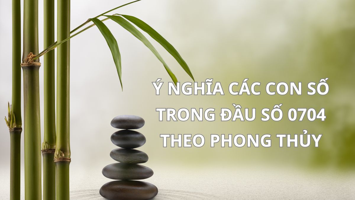 Ý nghĩa các con số trong đầu số 0704