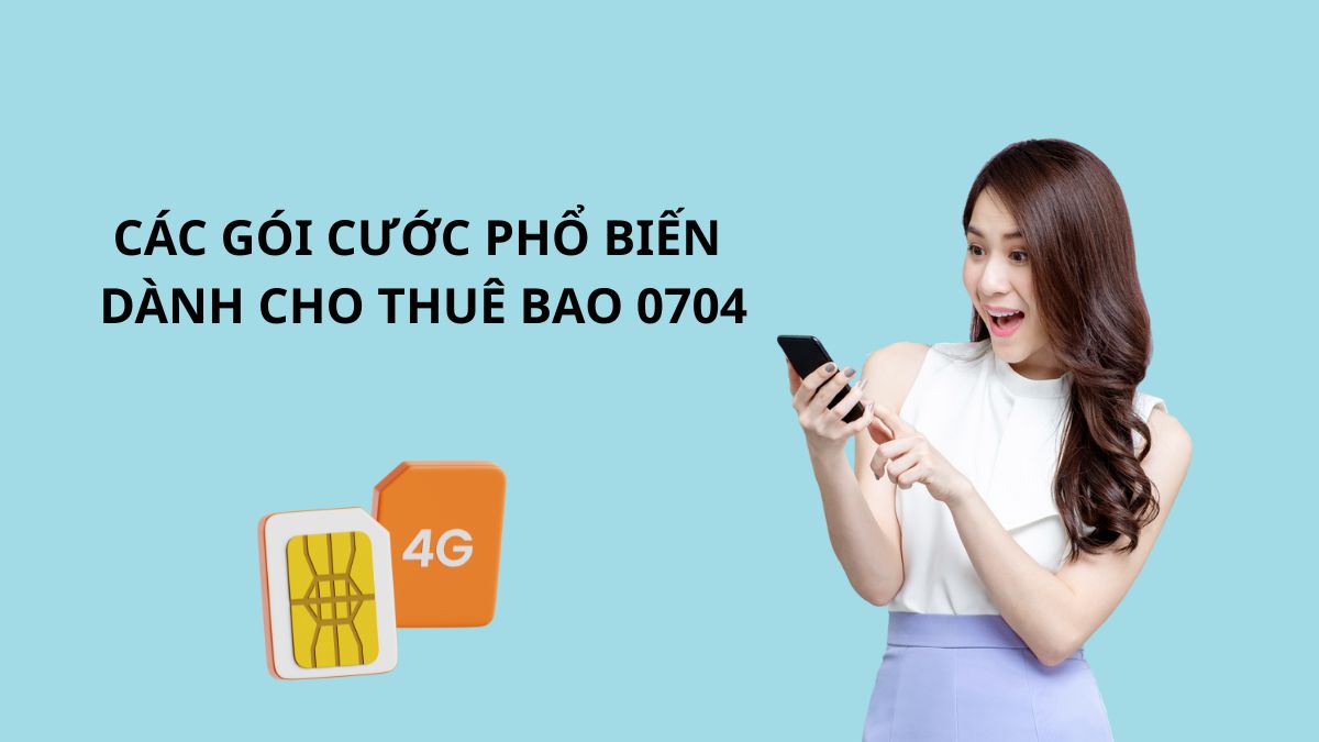 Các gói cước phổ biến dành cho thuê bao 0704
