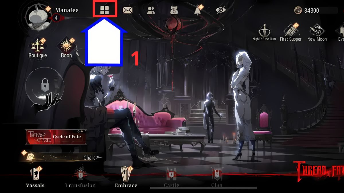 Hướng dẫn cách nhập code Silver and Blood