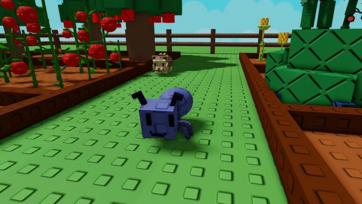 Cách nâng cấp pet để chuyển tiers