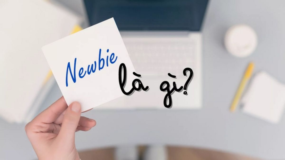 Newbie là gì? Sự khác nhau giữa Newbie, Beginner và Noob