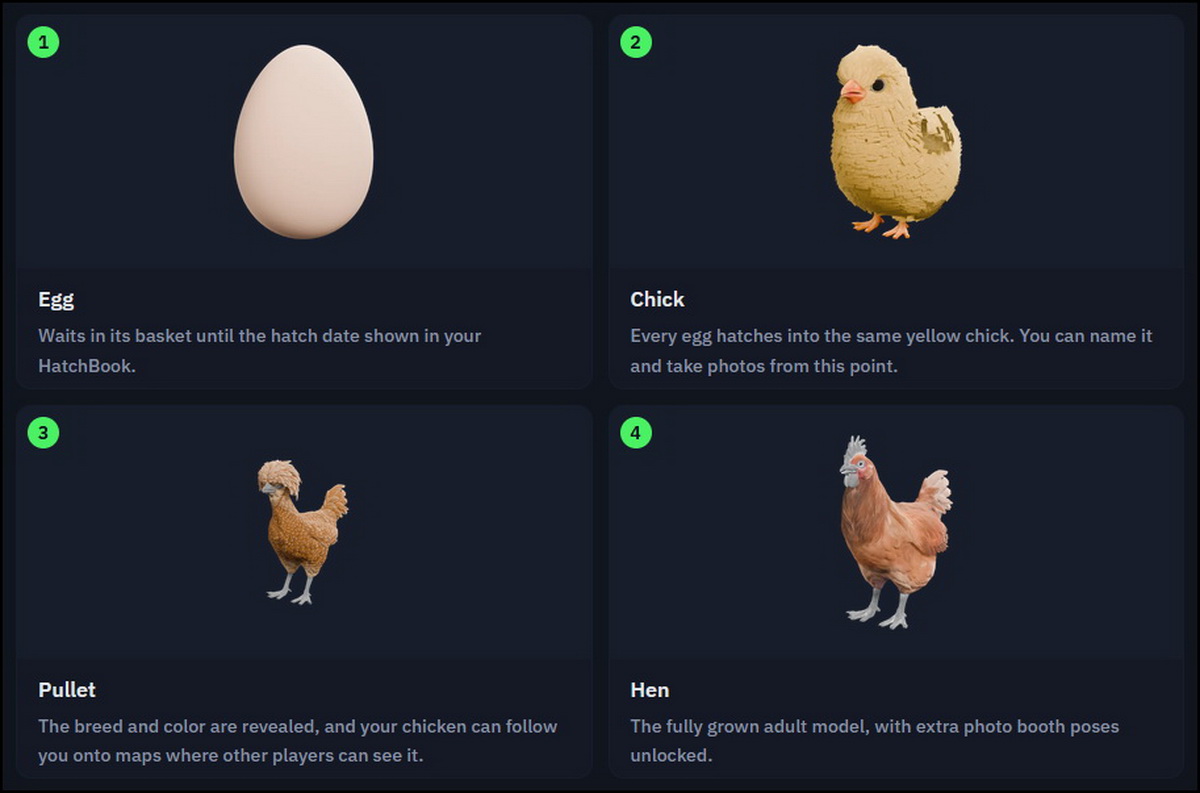 CS2 Chicken: Hướng dẫn toàn diện tính năng nuôi gà mới toanh!