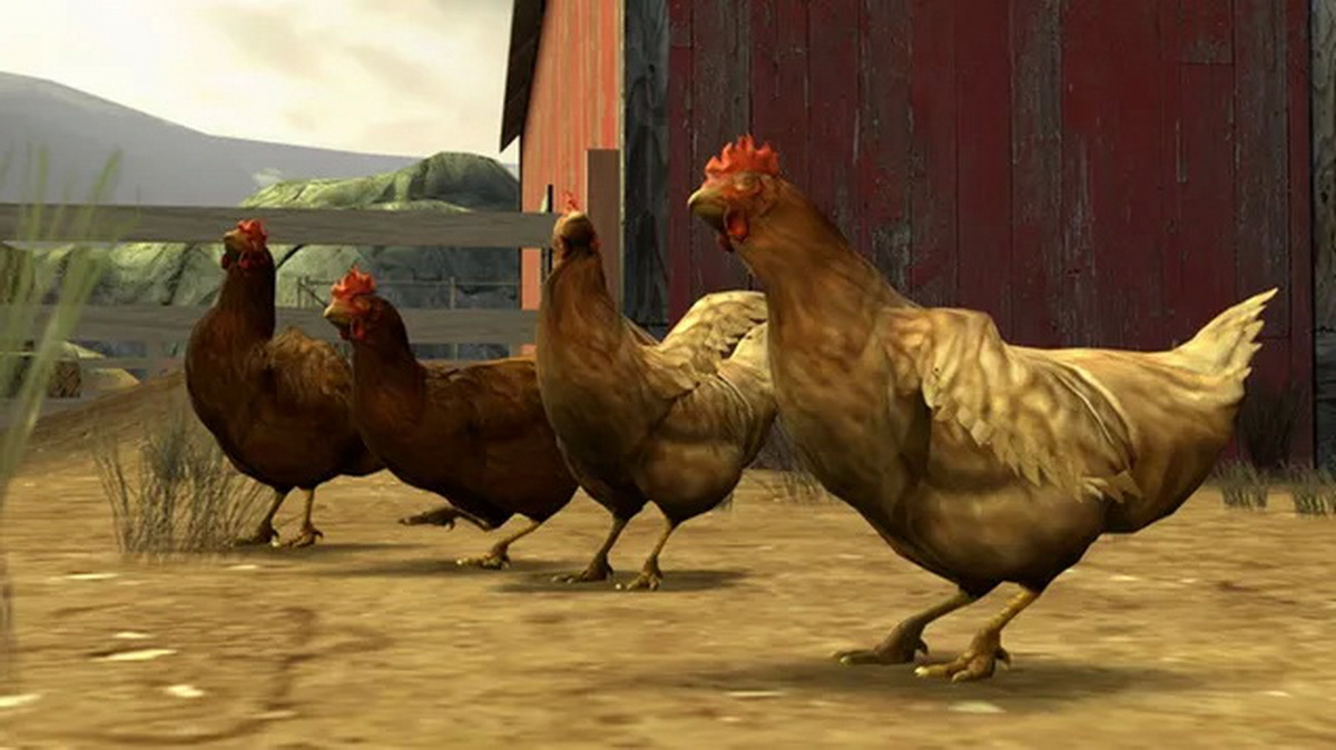CS2 Chicken: Hướng dẫn toàn diện tính năng nuôi gà mới toanh!