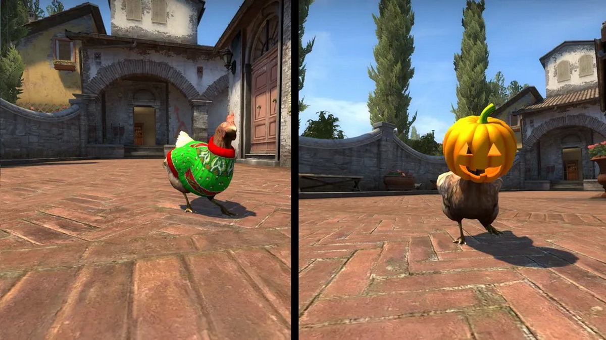CS2 Chicken: Hướng dẫn toàn diện tính năng nuôi gà mới toanh!