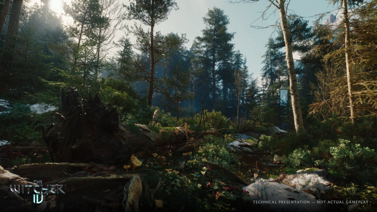 The Witcher 4 state of unreal 2025