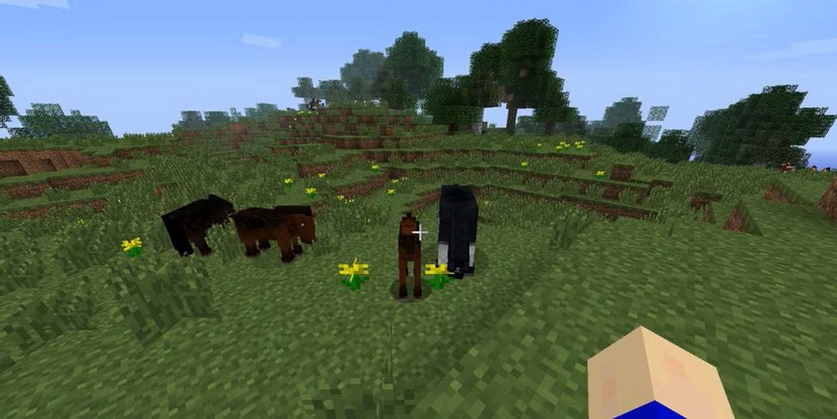 Cách thuần phục ngựa trong Minecraft và chăm sóc chúng để có được bạn đường tuyệt vời