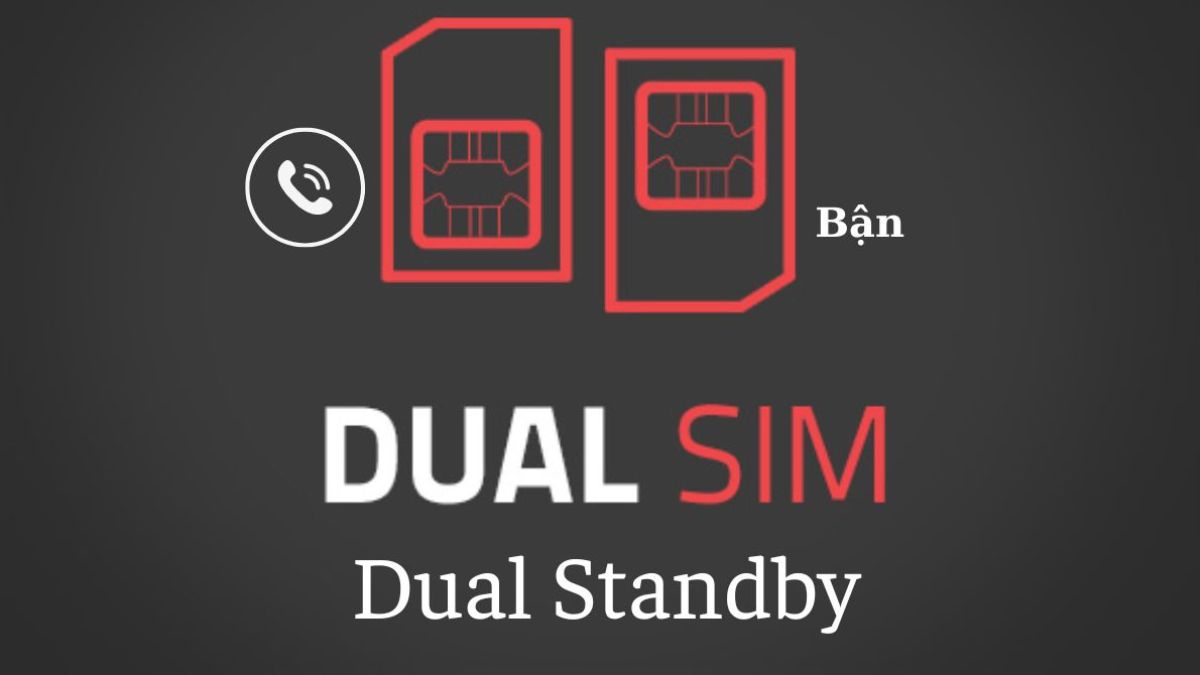Loại Dual SIM Switch