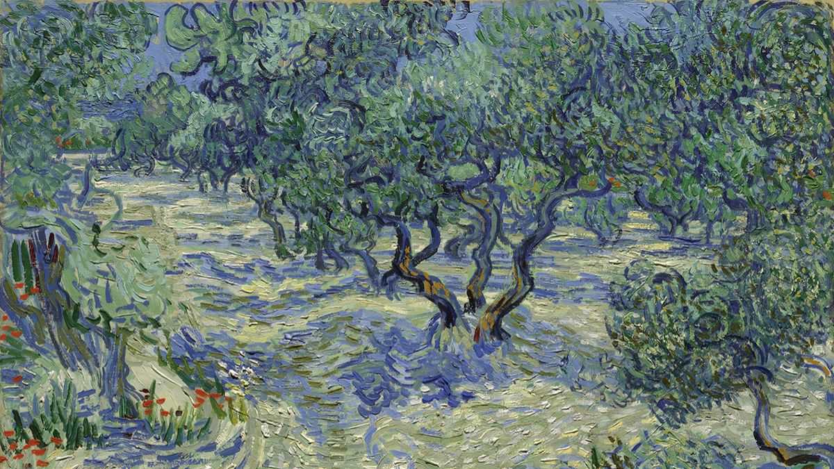 Hình nền Van Gogh với tác phẩm Những cây ô liu