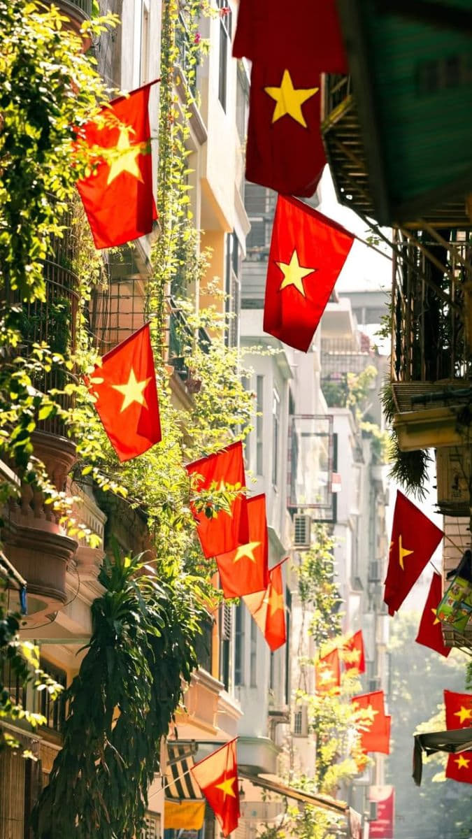 Hình nền ngôi sao sáng bừng góc phố