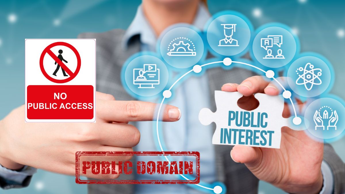 Các cụm từ thường gặp với Public