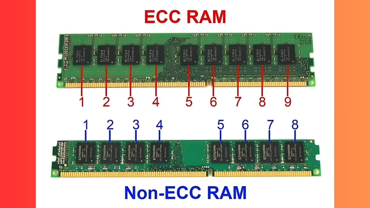 Sự khác biệt giữa RAM ECC và RAM thường