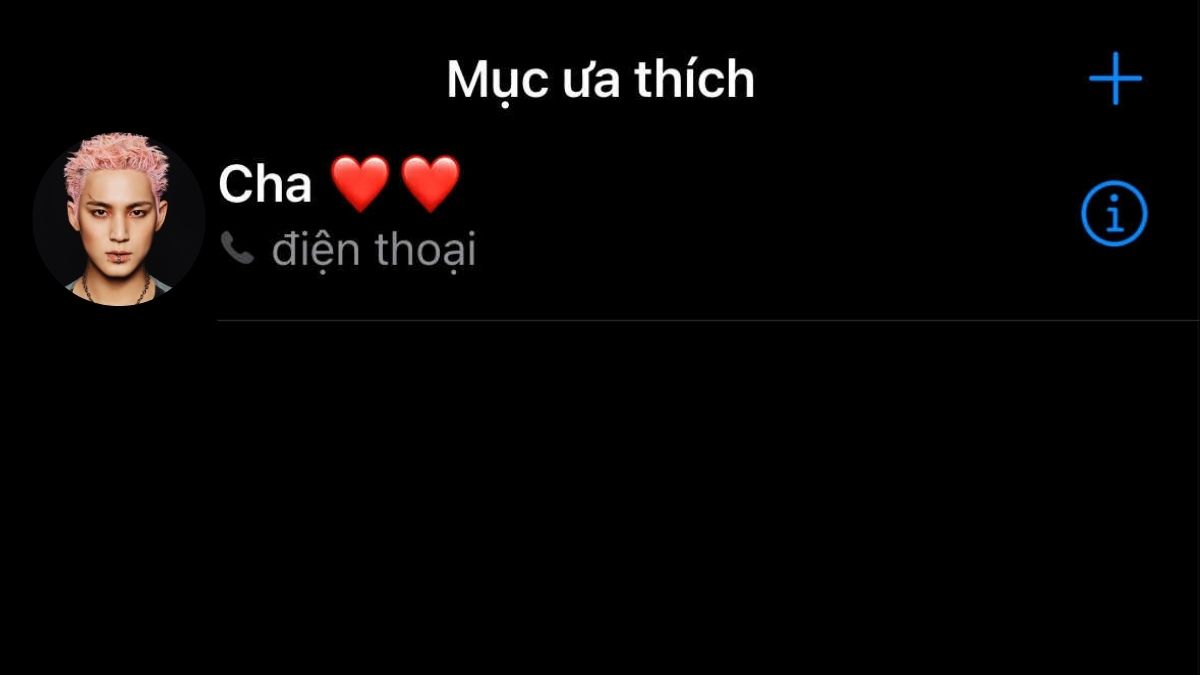 Cách cài số điện thoại ưu tiên trên iPhone bằng cách thêm số liên hệ vào mục Favorites - bước 3