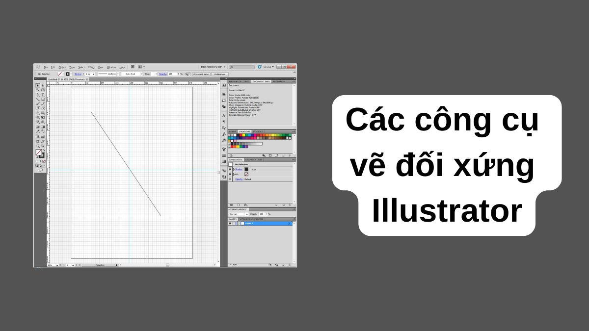 Các công cụ vẽ đối xứng trong Illustrator
