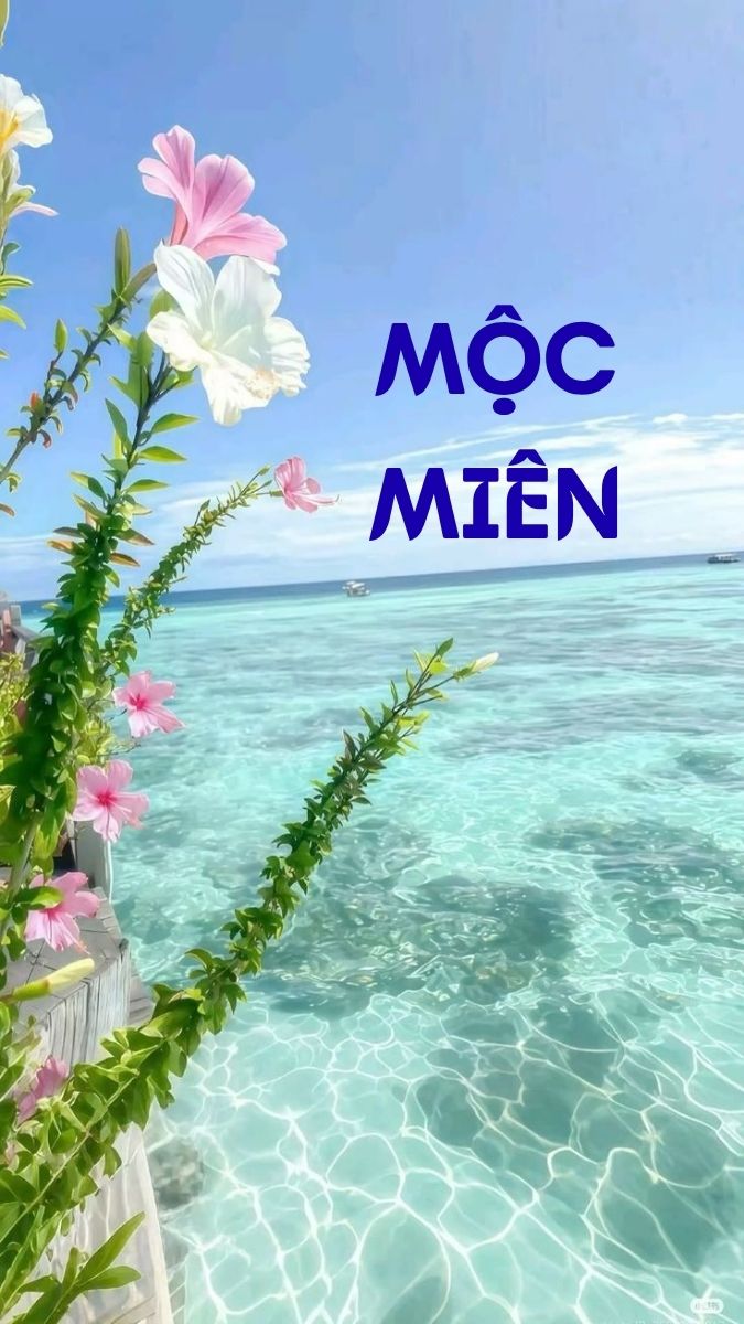 Tạo hình nền theo tên mình đẹp lung linh