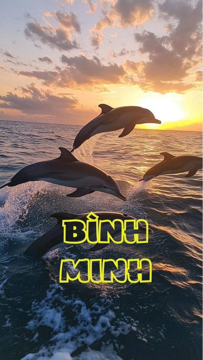 Tạo hình nền theo tên mình tối giản tinh tế