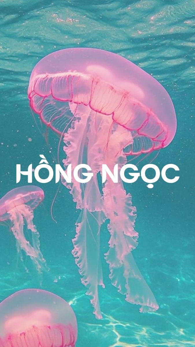 Tạo hình nền theo tên mình phong cách cute