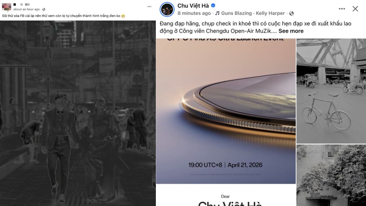 Nguyên nhân chính của lỗi ảnh Facebook bị đen trắng