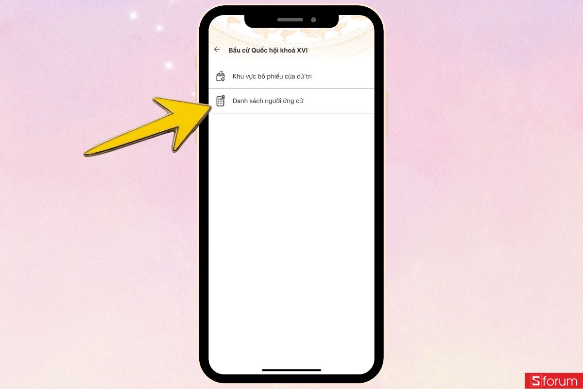 Danh sách người ứng cử