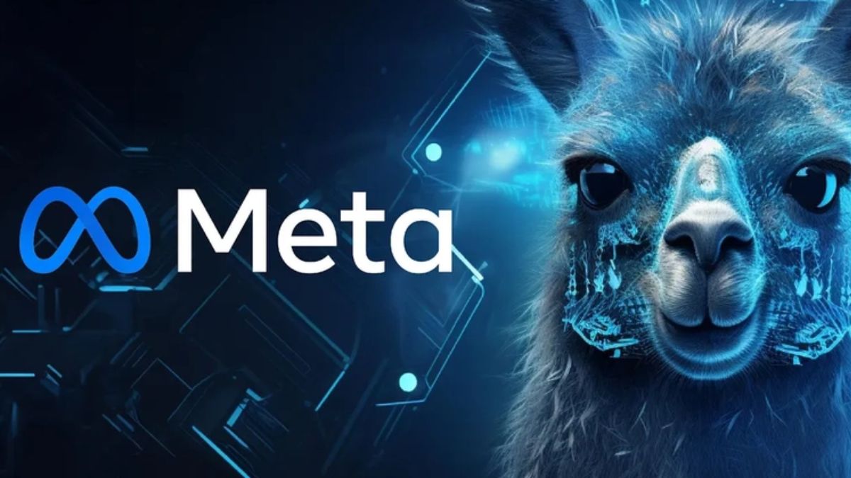 Llama là gì