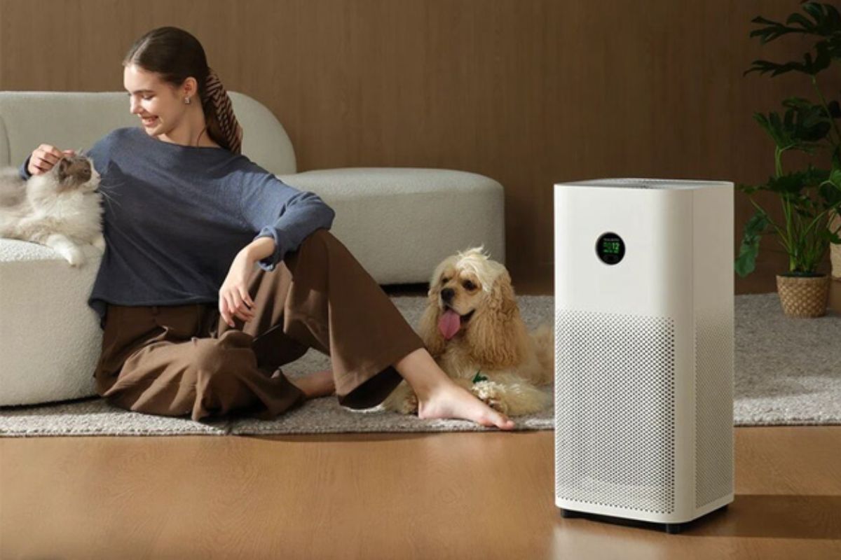 Tiêu chí chọn máy lọc không khí cho căn hộ dưới 50m²
