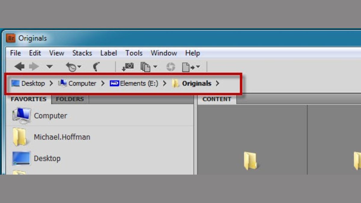 adobe bridge là gì