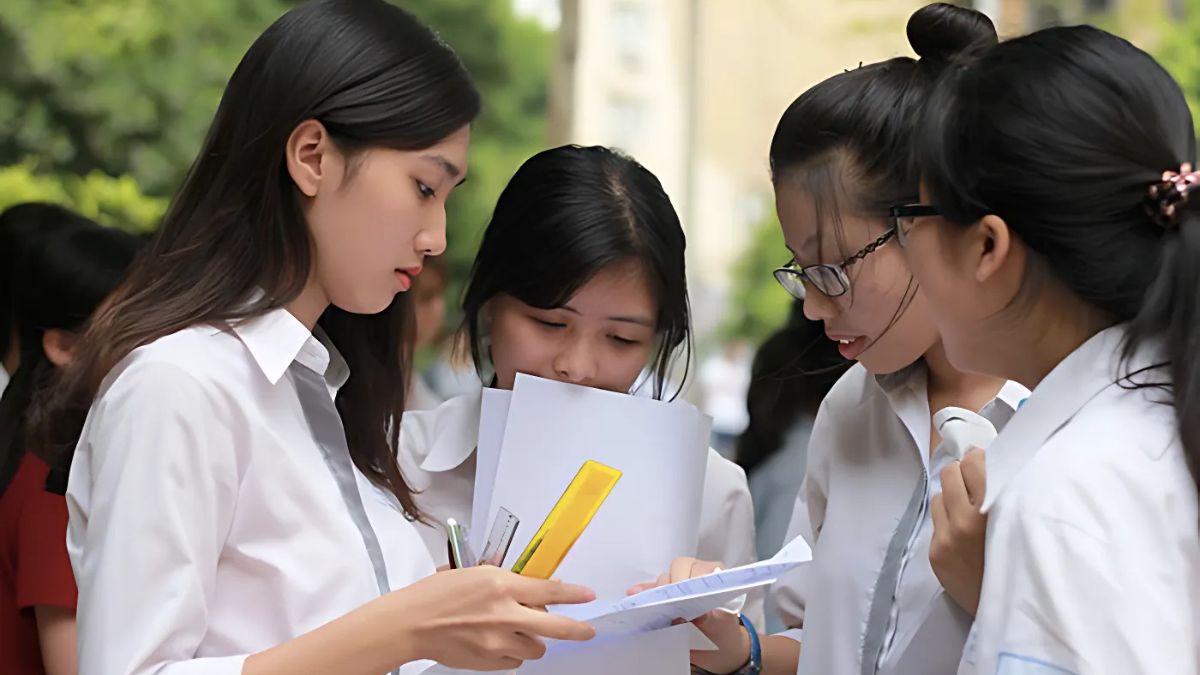 d01 gồm những môn nào