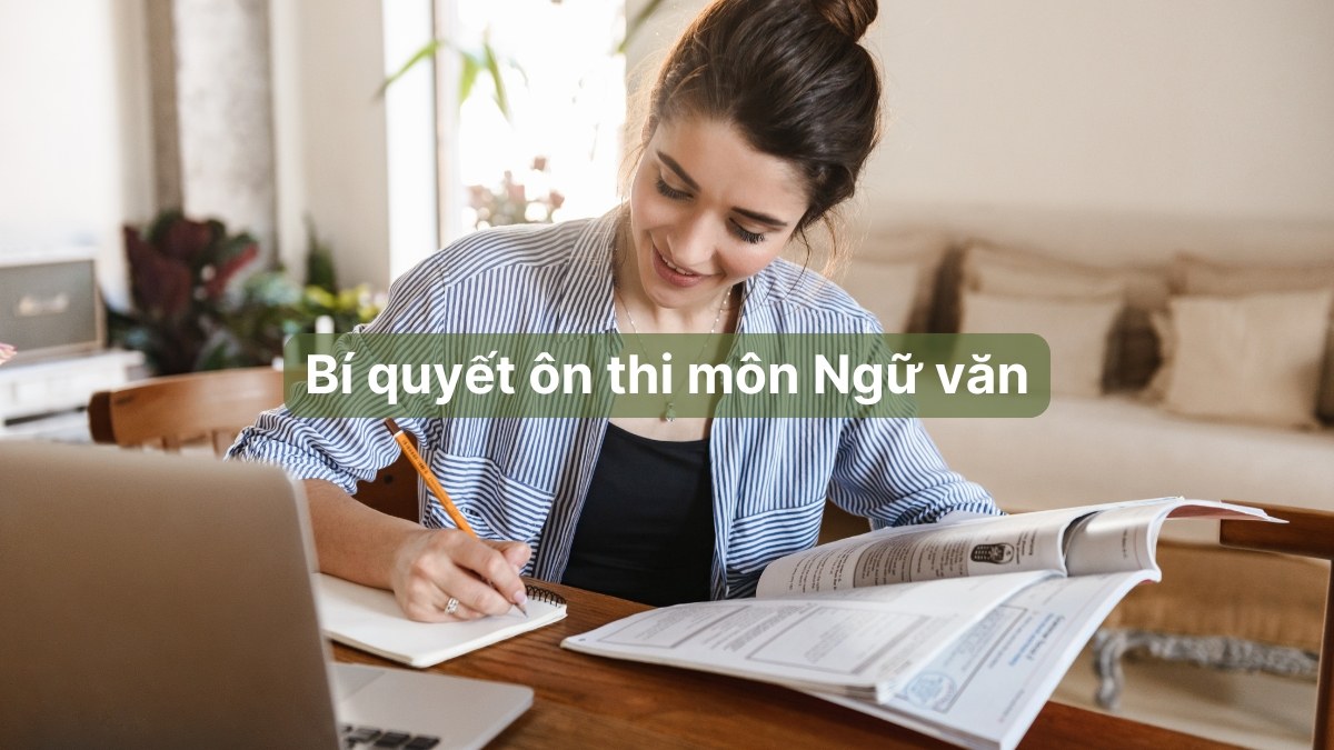 d78 môn gì