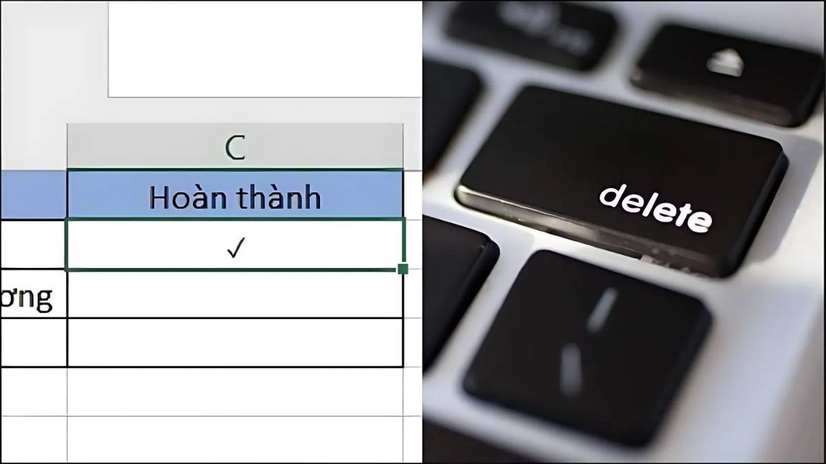 đánh dấu tick trong excel