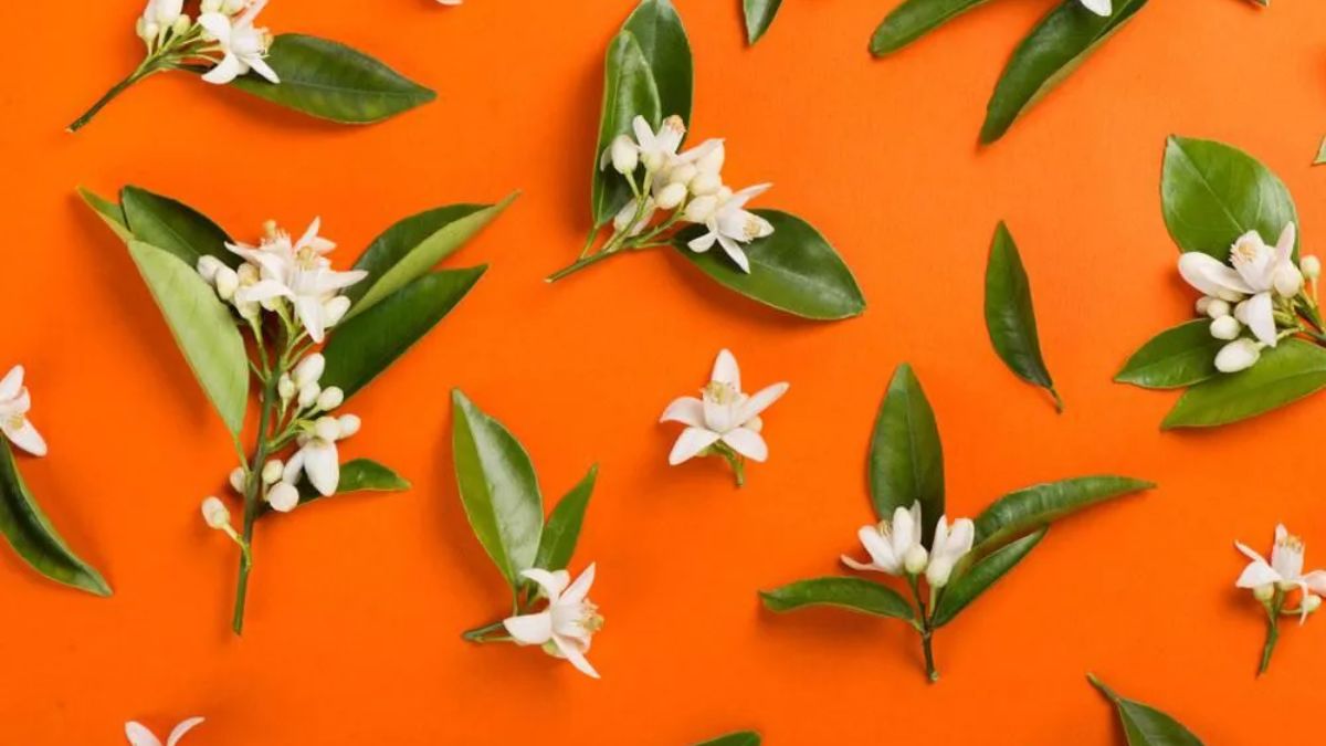 làm sao biết mình mệnh gì