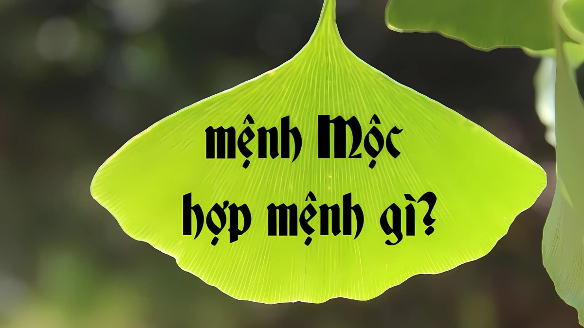 nữ mệnh mộc hợp mệnh gì