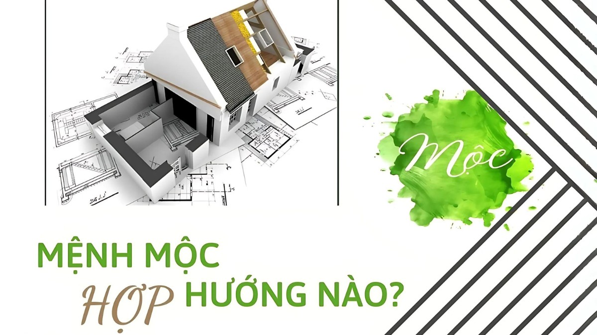nữ mệnh mộc hợp mệnh gì