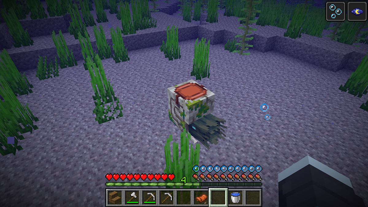 Nautilus Zombie có thể cưỡi được sau khi tiêu diệt Drowned