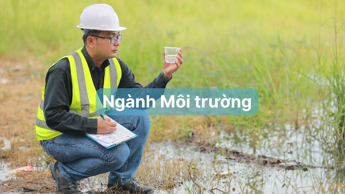 Ngành Môi trường phù hợp với B03