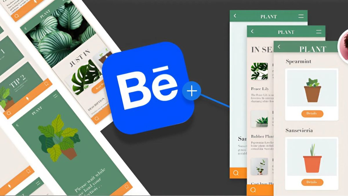 Giới thiệu về nền tảng Behance và lỗi behance bị chặn
