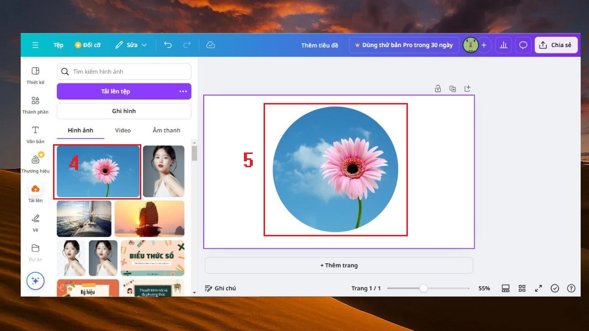 Sử dụng khung dạng cơ bản để cắt ảnh bằng Canva
