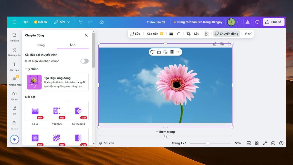 Một số mẹo khi cắt ảnh trên Canva