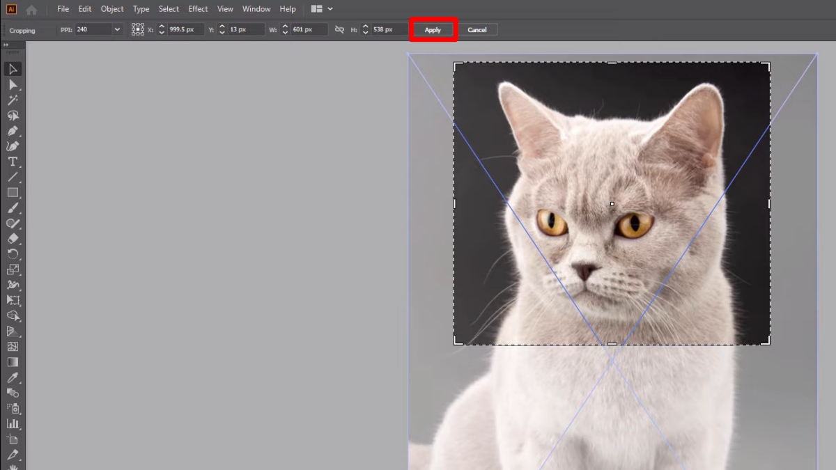 Cách cắt hình trong AI bằng Cropping Tools bước 3