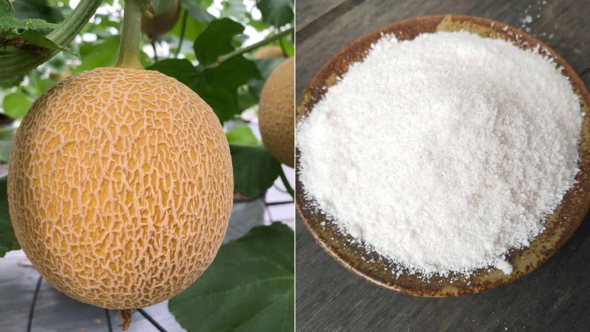 Hướng dẫn cách làm mứt dưa lưới sấy 