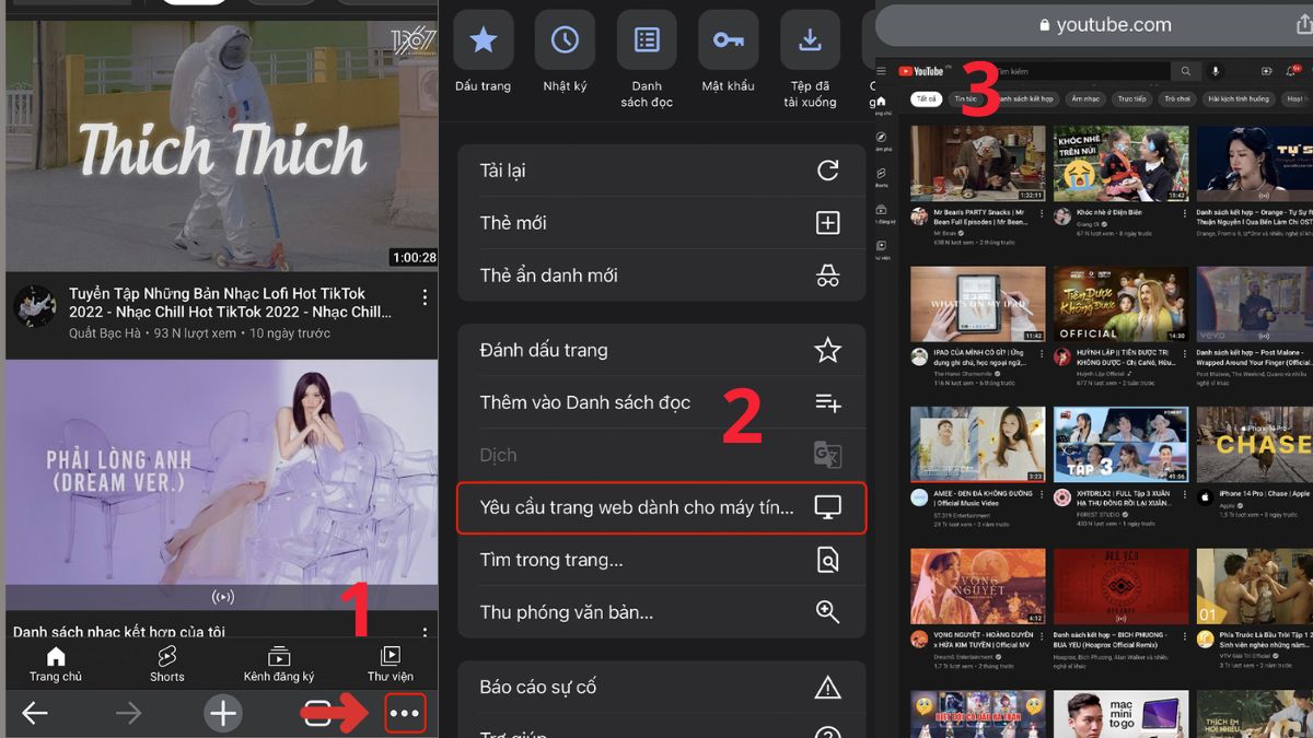 Cách xem video YouTube ngoài màn hình iPhone trên Chrome bước 2