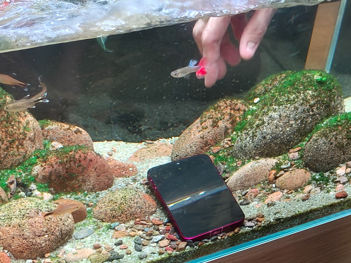 Đánh giá OPPO Find X9 bị rơi vào nước nhưng vẫn sử dụng tốt