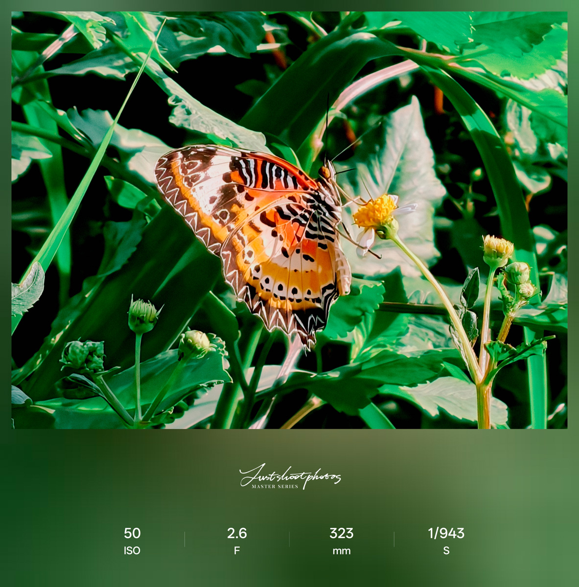 Đánh giá camera OPPO Find X9 qua chất lượng ảnh chụp người